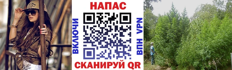 Все наркотики Междуреченск COCAIN СК Кетамин Гашиш MEGA зеркало АМФ