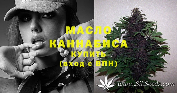 дмт Горно-Алтайск