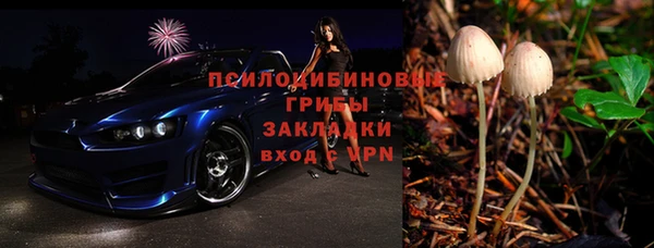 spice Горнозаводск
