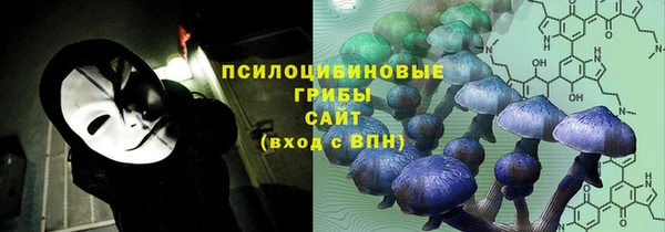дмт Горно-Алтайск