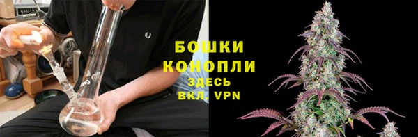 spice Горнозаводск