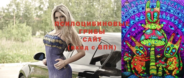 дмт Горно-Алтайск