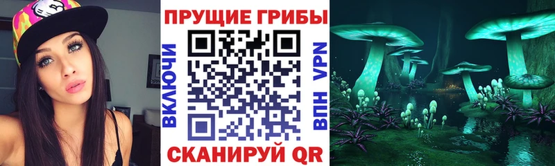 мега рабочий сайт  Междуреченск  Галлюциногенные грибы ЛСД 