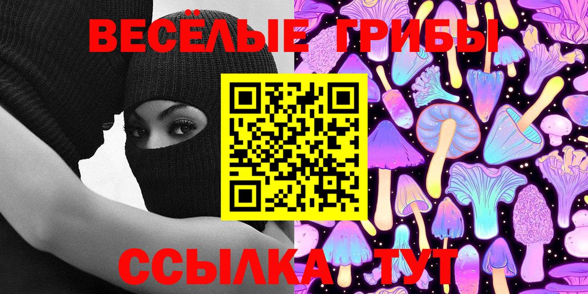 Галлюциногенные грибы Cubensis  Галлюциногенные грибы прущие грибы  Междуреченск 