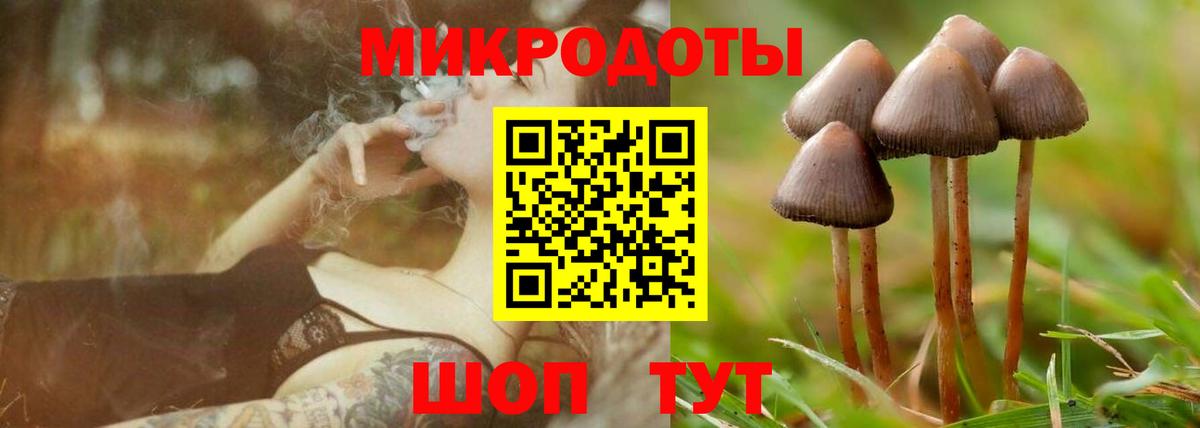 Псилоцибиновые грибы GOLDEN TEACHER Междуреченск